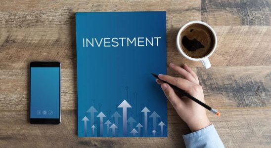 How do Seed investments work?