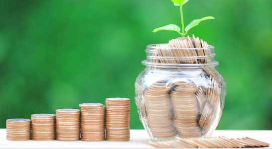 Tips for Navigating the Seed Investments