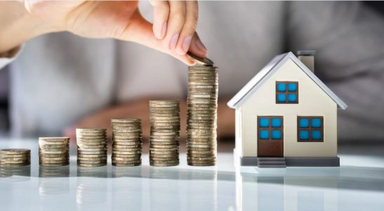 What is a Seed Investment in India?