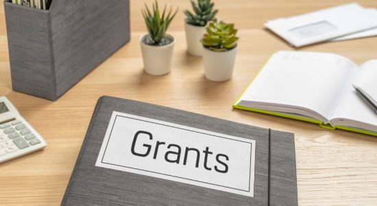 4. Startup India Seed Fund Scheme (SISFS)