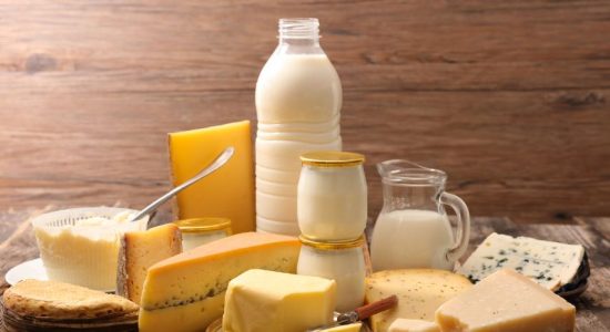 How Does India's Top Milk-Producing State Contribute to the Dairy Industry?