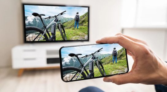 What Are the Main Features of Vegamovies NL?