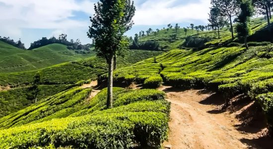 8. Arunachal Pradesh