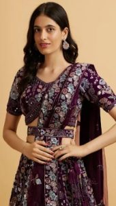 Chhattisgarhi Dupatta and Blouse