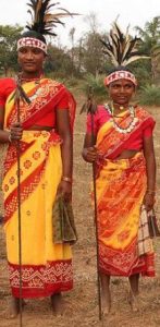 Gond Tribal Dress