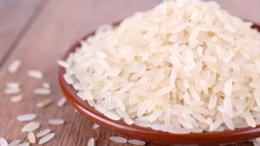 Haryana Rice