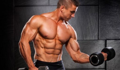 What Are the Basics of Muscle Building Naturally? - wellhealthorganic how to build muscle