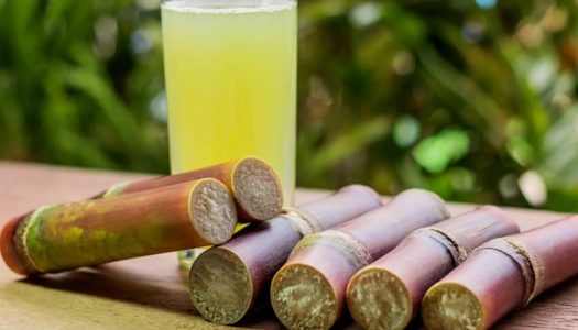 What Are the Main Factors Influencing Sugarcane Production in India?