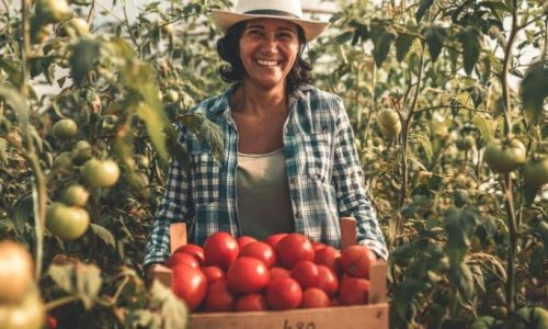 How Does Farmer Registry Contribute to Food Security and Sustainability?