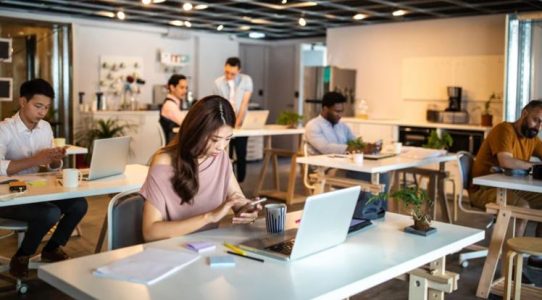 What Is the Relationship Between Business Environment and Sustainability?