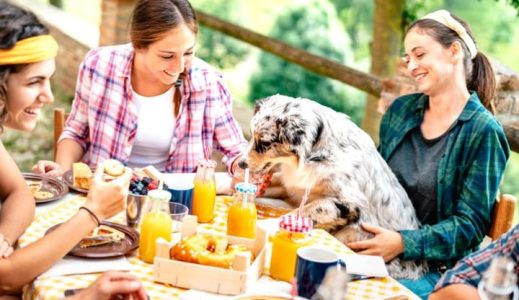 What Dining and Service Options Are Available at Twisty Tails?