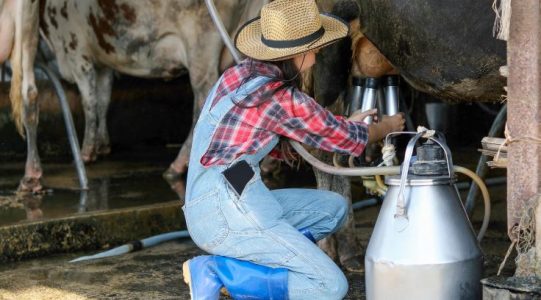 What Products Are Available at Chimertech Private Limited?