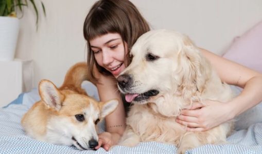 What is Wellhealthorganic Organic Pet Food Benefits?