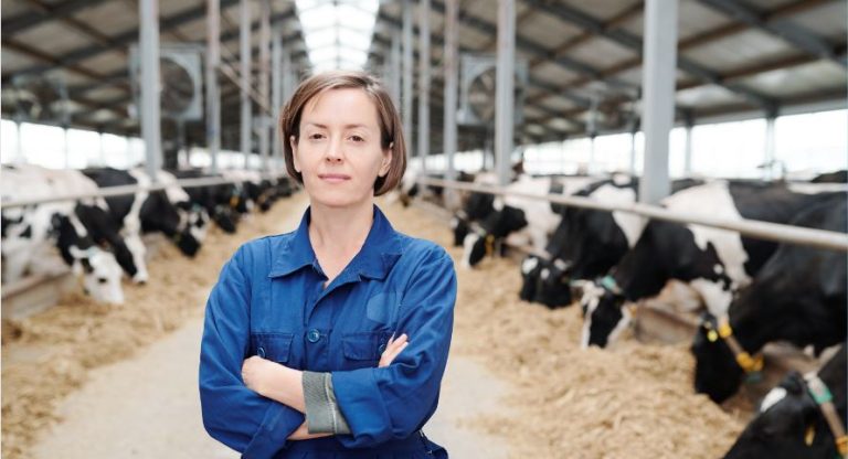 How to Start a Dairy Business in India?