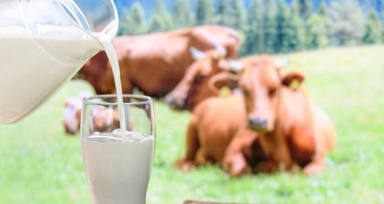 Top 10 Highest Milk Producing State in India