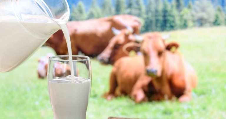 Top 10 Highest Milk Producing State in India