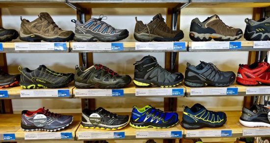 Top Shoe Brands in India