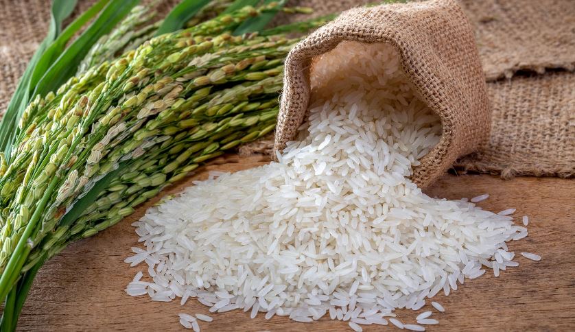 Top 10 largest rice producing state in india