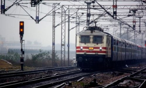 What is MCO Contact Number?